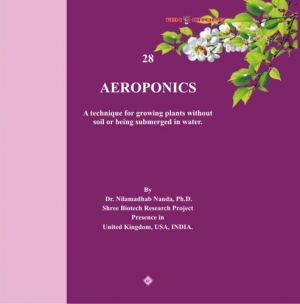  - Aeroponic (SKY) Farming