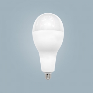  - Flood Light