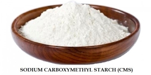  - Sodium Carboxymethyl Starch (CMS)
