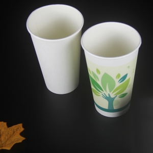  - BIODEGRADABLE PAPER CUP