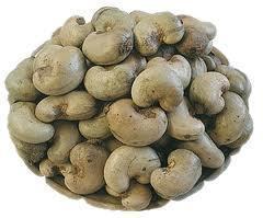  - cashew-nut- in shell