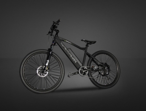  - ELECTRIC BIKE/PEDELEC-TS-EB001