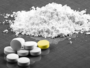  - Active Pharma Ingredients