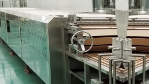  - potato chips production line
