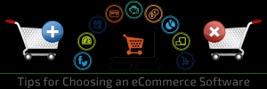  - E- Commerce Software\\\'s