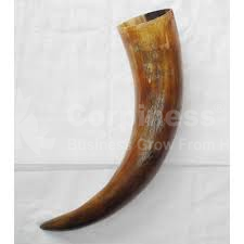  - Buffalo Dog chew