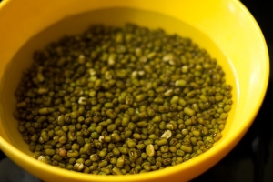  - Moog Daal